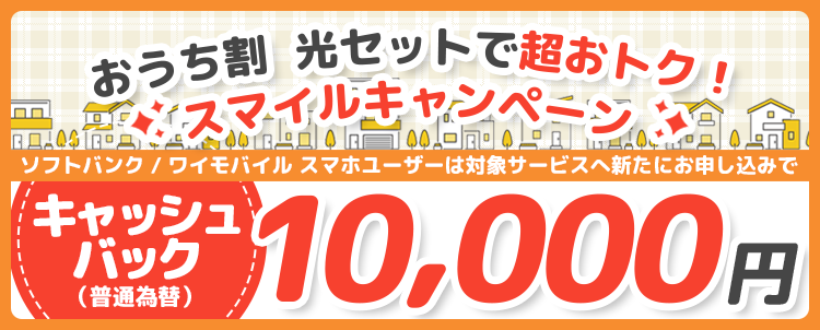 おうち割 光セット